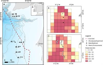 Ecosystem Functioning Under the Influence of Bottom-Trawling Disturbance: An Experimental Approach and Field Observations From a Continental Slope Area in the West Iberian Margin